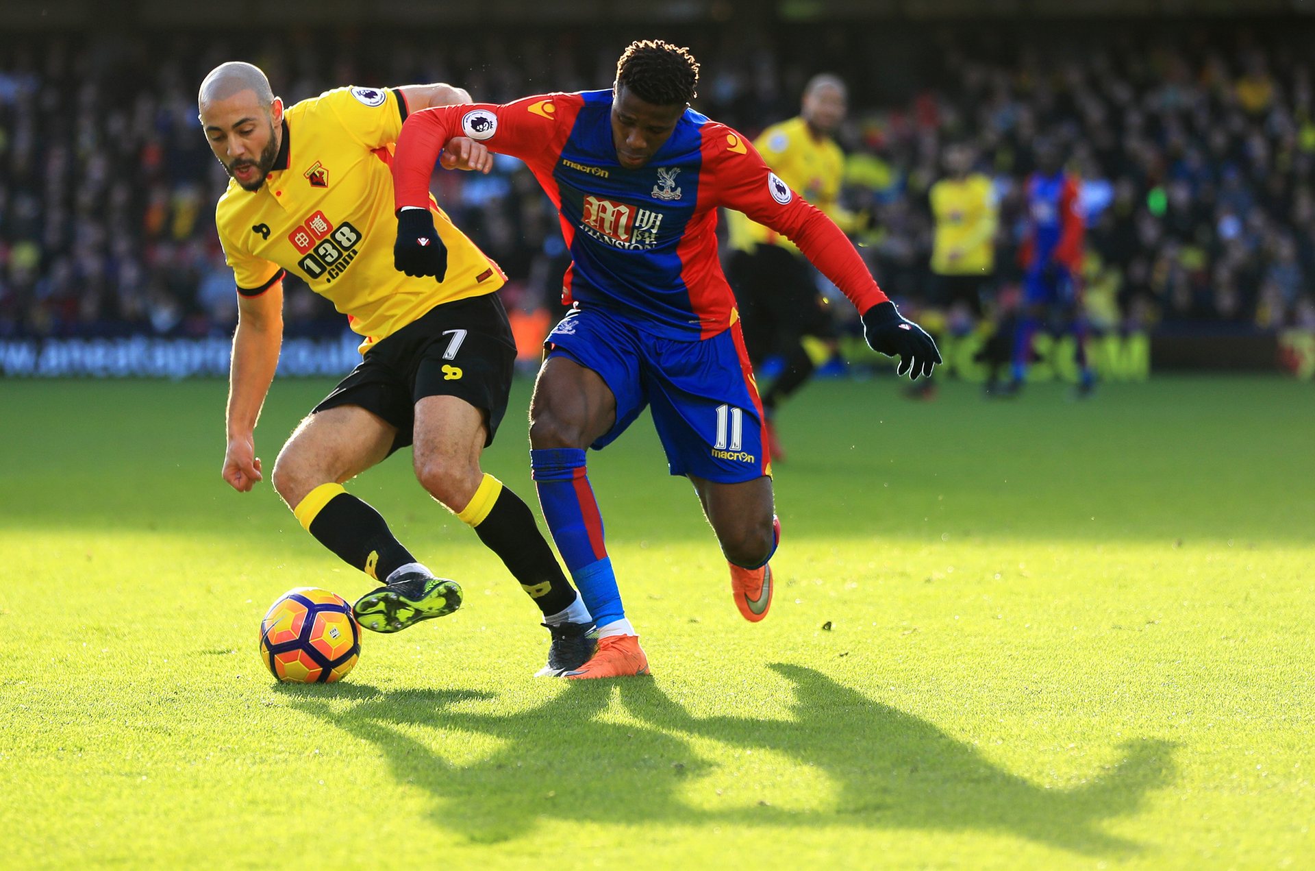 发情绪化反 发情绪化反